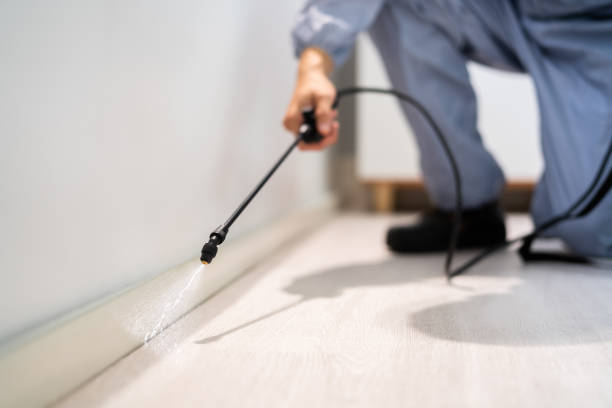 Licensed Fumigation Services service in Elmwood Park, NJ - Nex Pest Control
