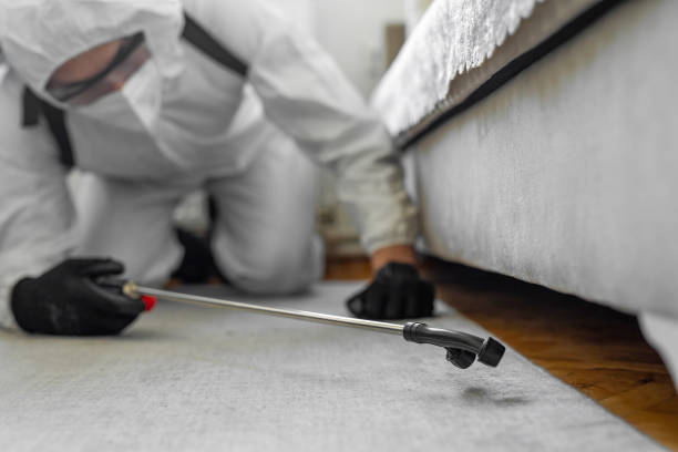 Professional Fumigation Services technician working in Elmwood Park, NJ