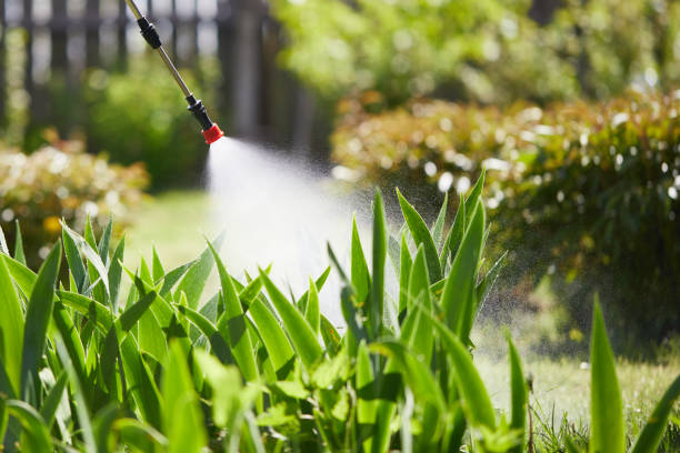 24/7 Emergency Fumigation Services experts in Elmwood Park, NJ
