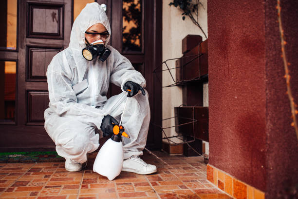 Reliable Fumigation Services contractor in Elmwood Park, NJ by Nex Pest Control