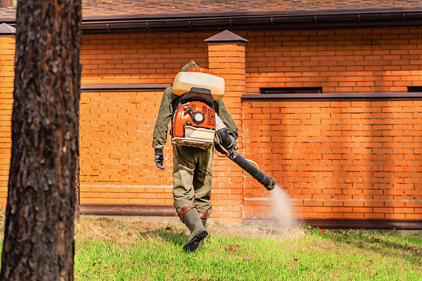 Trusted Fumigation Services service in Elmwood Park, NJ - Nex Pest Control